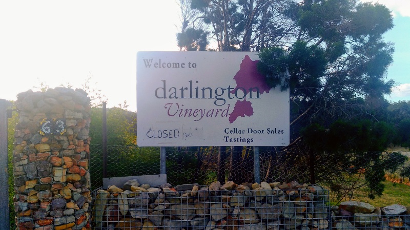 darlington vineyard 看板